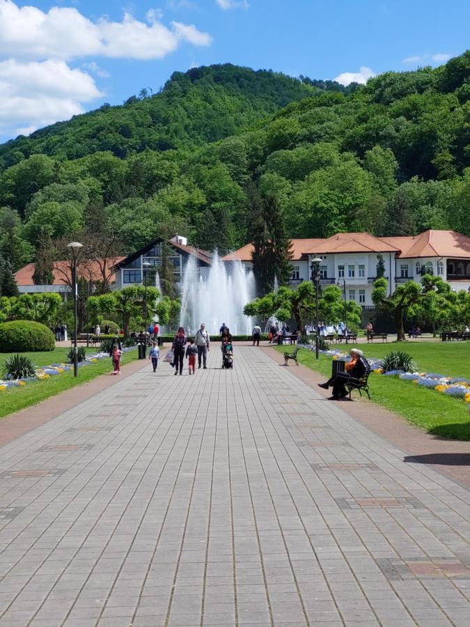 Готель Aleks Sobe Баня-Ковиляча Екстер'єр фото